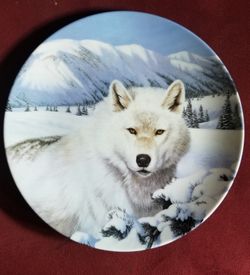 Collector plate, Timber Ghost