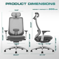 COLAMY Ergonomic Mesh Office Chair, High Back Office Chair #1014H G1