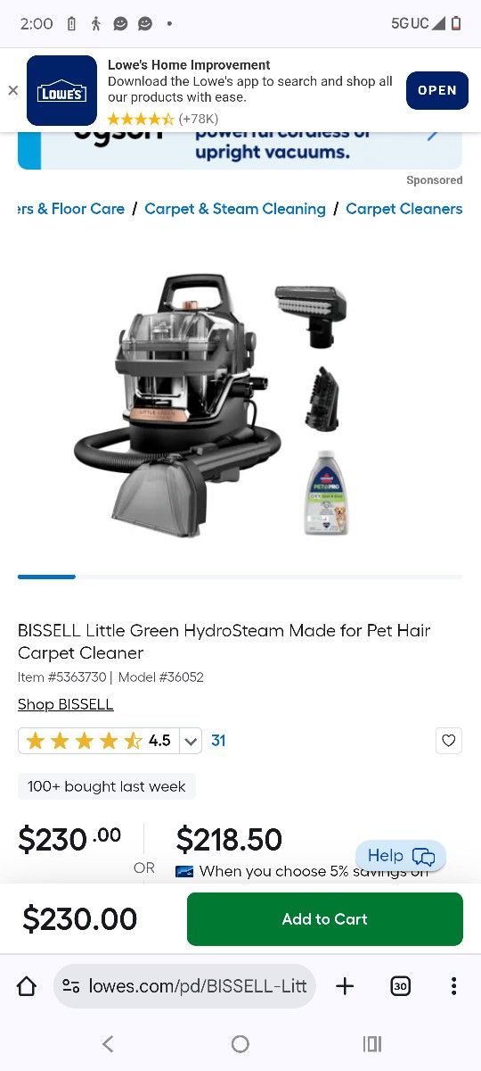 Bissell Steam Cleaner