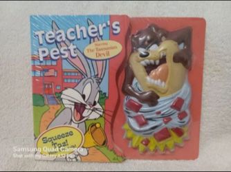 Vintage Looney tunes teacher's pest play sound book