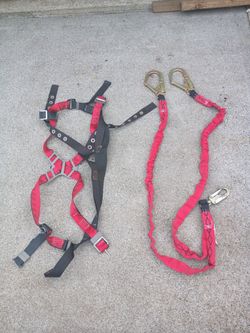 Safety Harness