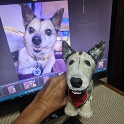 Custom Made PETS out Of TERRACOTTA 