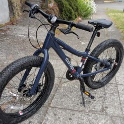 REI Co-op Cycles REV 20 6-speed Plus Kids Mountain Bike 