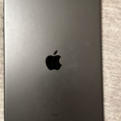 Apple iPad