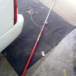 pole pruner or pole saw. 