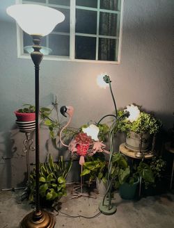 Lamps