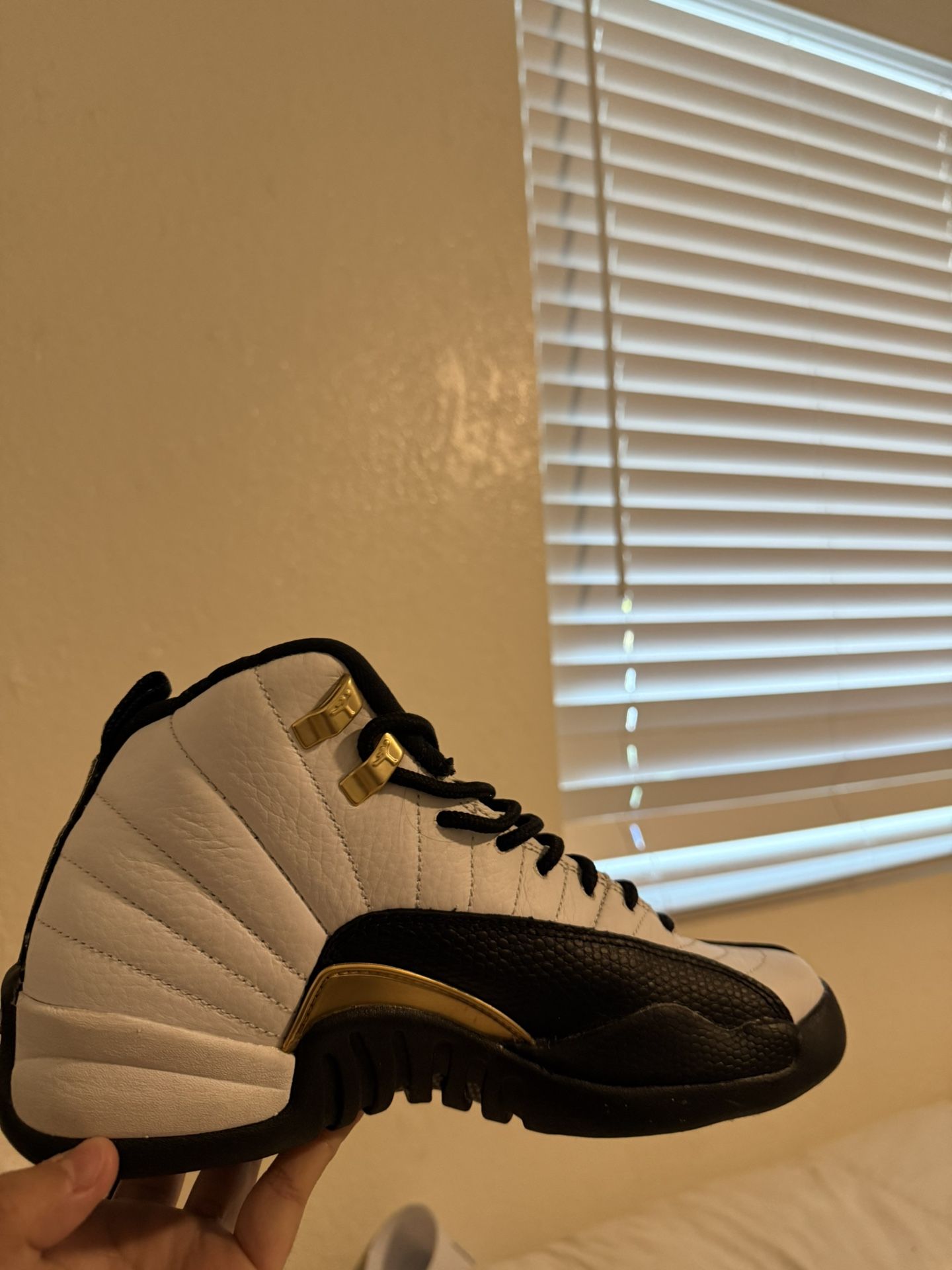 Jordan 12 Royalty Taxi 