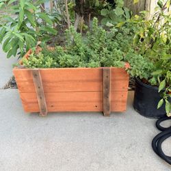 Wood Garden Beds