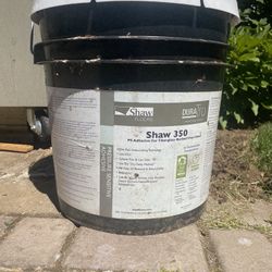 Shaw Flooring Adhesive Vinyl 