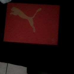Puma Shoes Size 7 Brand New 