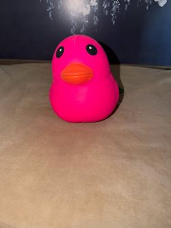 Pink duck