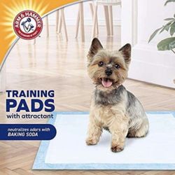 Puppy pads