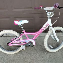 Trek Kids Bike