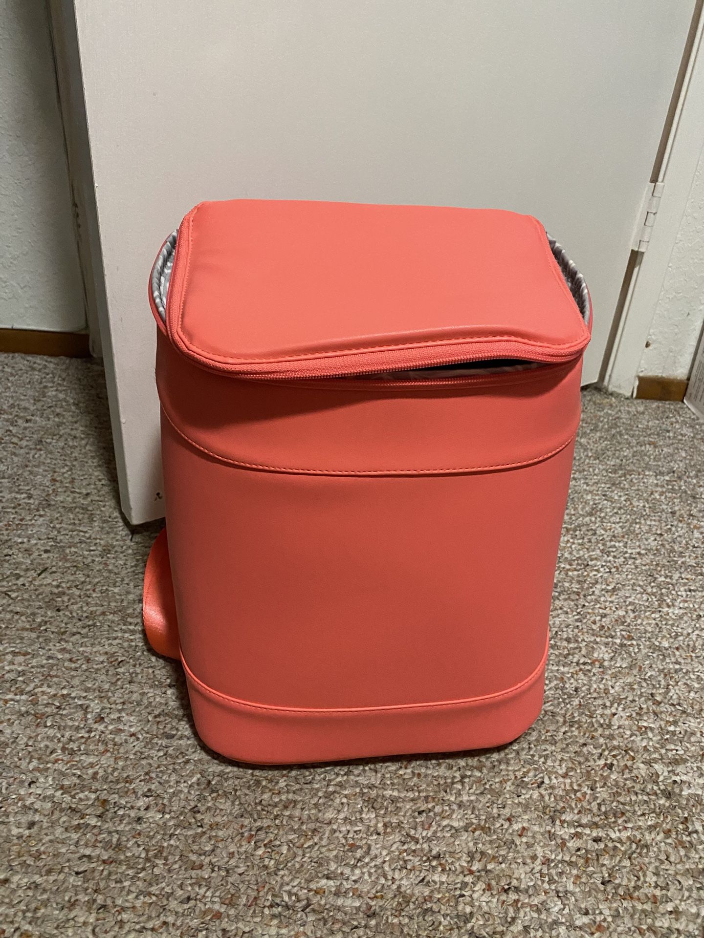 Insulated Backpack Cooler
