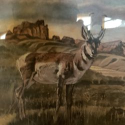 Eval Eivels Art Sagebrush Prince Print Signed And Dated Number346 9f 1000 Beautiful Print22x19