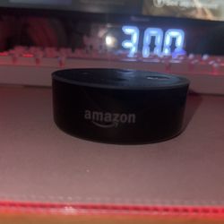 Echo Dot 