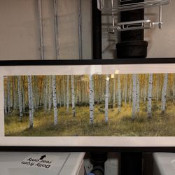 Custom Framed Photos