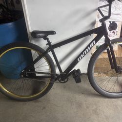Unknown 29er