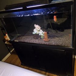 100 Gallon Fish Tank Aquarium