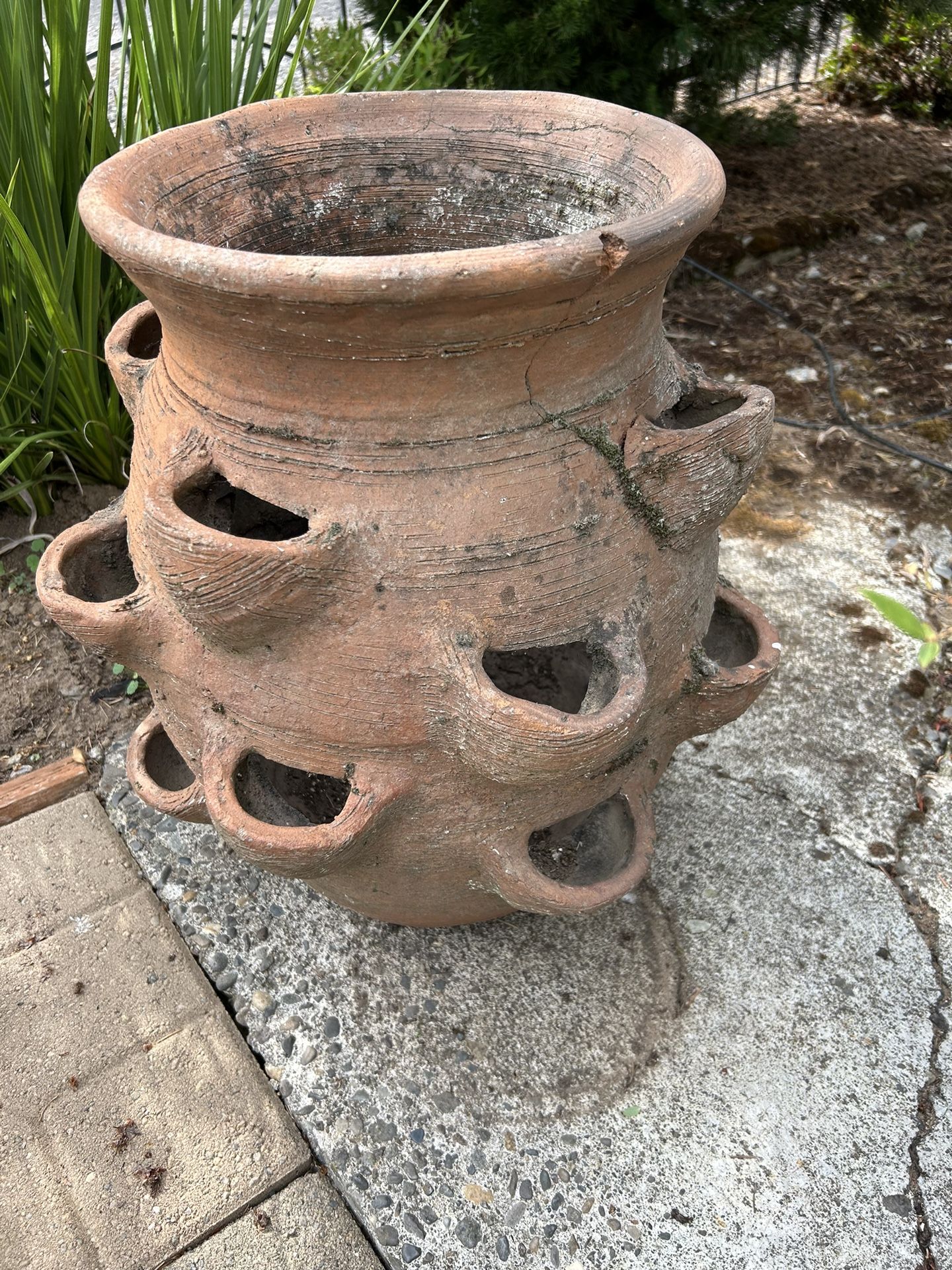 Large Vintage Terracotta Strawberry Planter for Sale in Portland, OR OfferUp