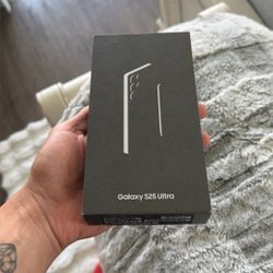 Samsung Galaxy S25 Ultra 