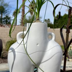 Big Booty Planters!