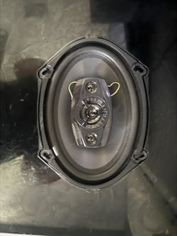 Side Door Speaker