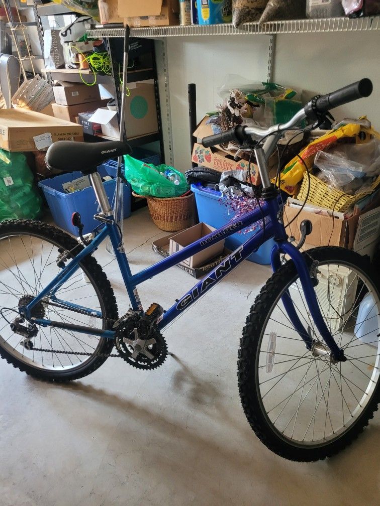 Giant Brand Ladies 16 Speed Bike