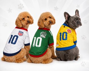 Pet Outfit for soccer world cup 2026