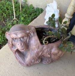 12" Vintage Ceramic Monkey Planter 1977 includes live succulents