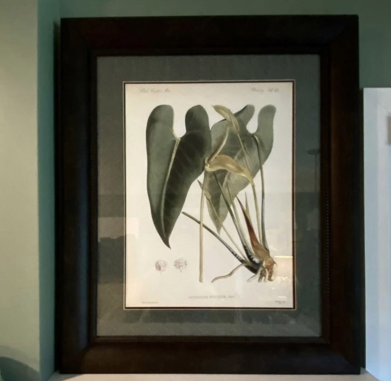 Highest Quality Perfect Frame & Matting