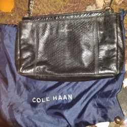 Cole Haan Snake Skin Purse