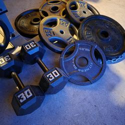 Gym Equipment 