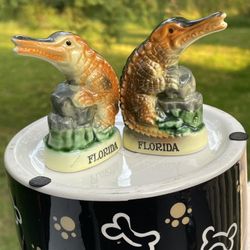 Florida Alligator Salt and Pepper Shaker Set  Gator MCM Souvenir Vintage Japan