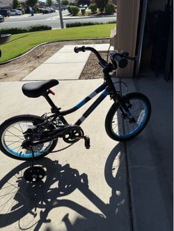 Guardian bike 14 in