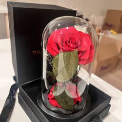 Red Roses Preserved Flower