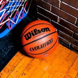 Wilson Evolution Basketball