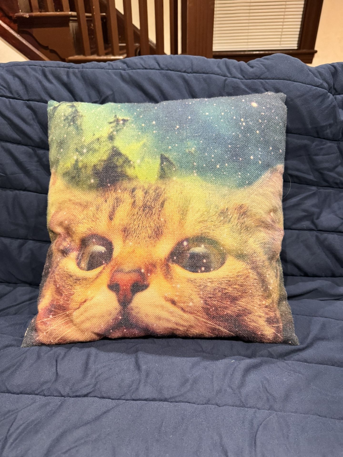 Cute Cat Cushion Pillow