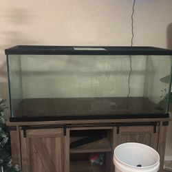 75 Gallon Fish Tank