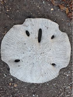 Concrete Sand Dollar yard decor