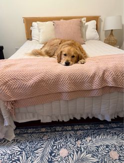 Adorable Queen Boho Ratan Boho Bedframe - no box spring needed
