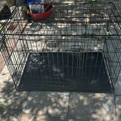 dog cage 