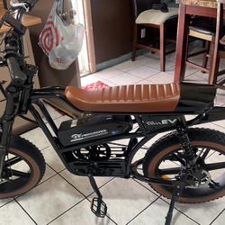 Fat Tire Electric Bike