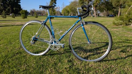 Colnago Master Olympic 51cm steel road bike