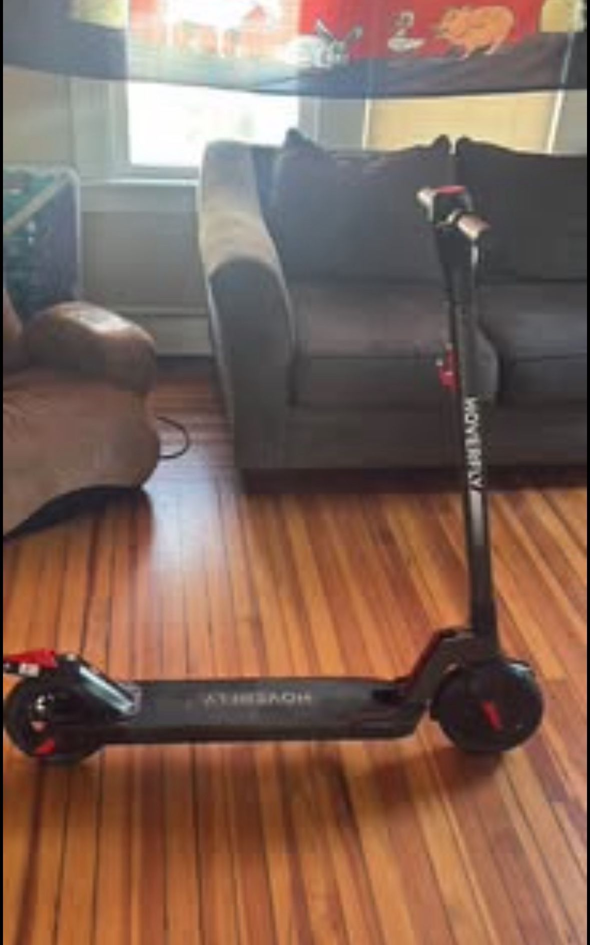 Hoverfly Electric Scooter