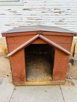 Huge Dog House