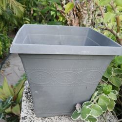 House Plant Pot Plastic