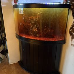 Corner Fish Tank 