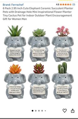 Small plant elephant vases