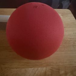 Alexa Echo 